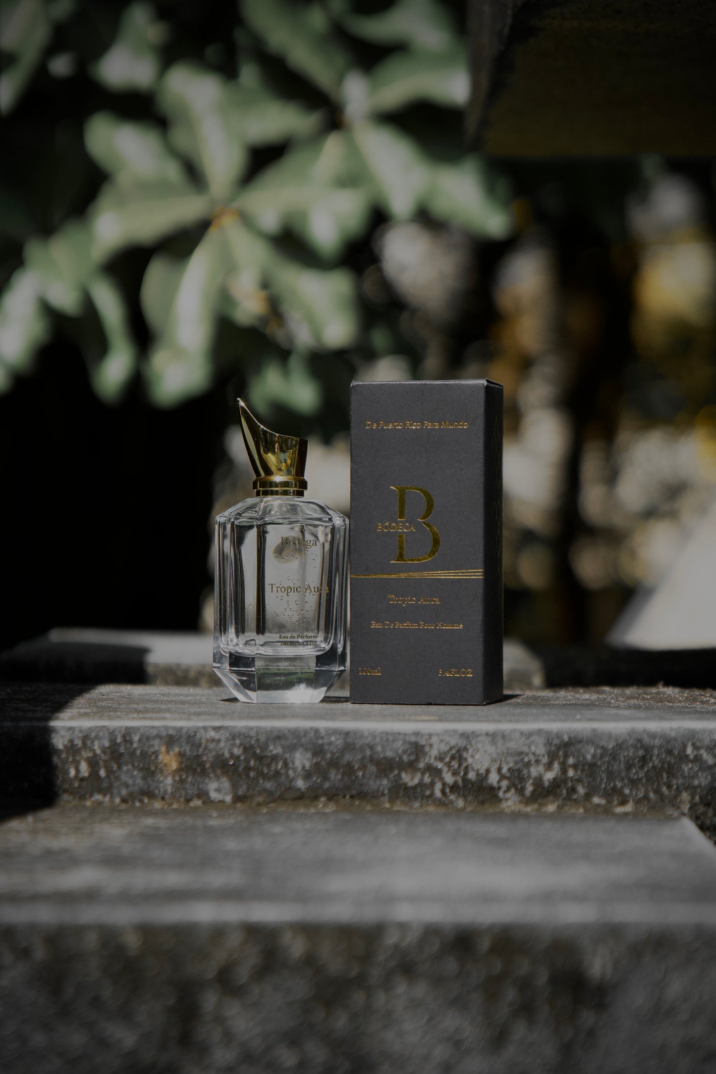 Tropic Aura Fragrance